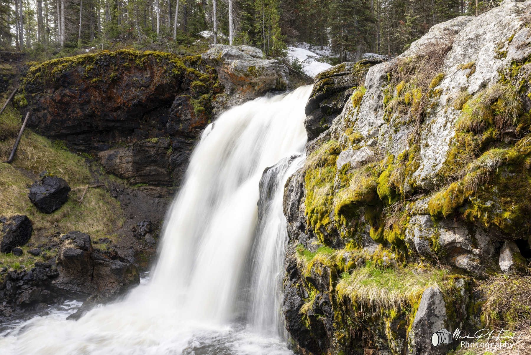 /gallery/north_america/USA/Wyoming/yellowstone/Moose Falls YNP May 2025-003_med.jpg